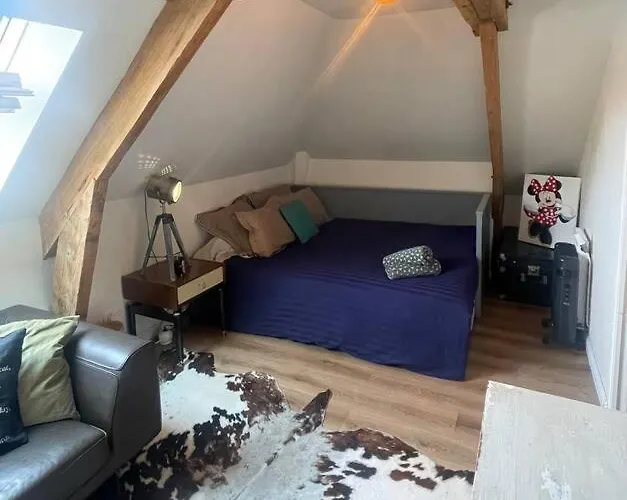 Appartement Cosy Et Charmant